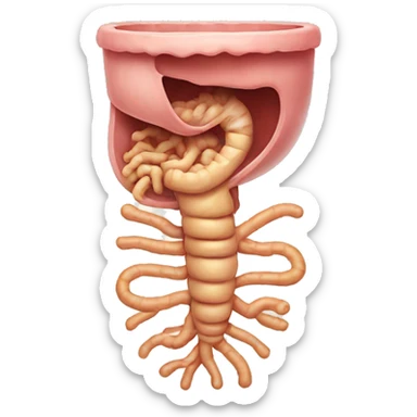 human digestive system sticker