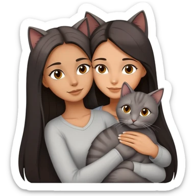 beautiful woman with dark long straight hair and brown eyes hugs a grey cat  sticker