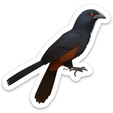 Greater coucal sticker