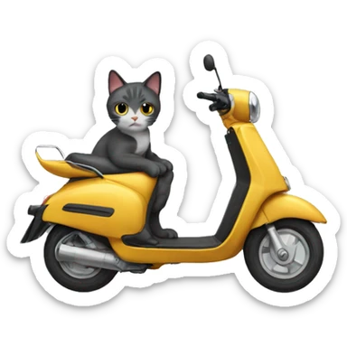 scooter cat  sticker
