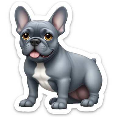 French bull dog blue grey colour sticker