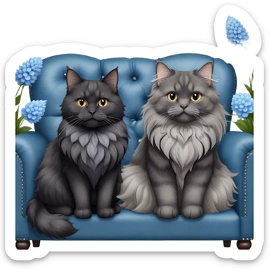 A large black smoke Maine Coon cat with long grey ear tufts and a fluffy grey ruff, sitting next to a chubby British Shorthair cat in blue color with plush fur, both sitting comfortably on a leather sofa. Beautiful room background with flowers and soft lighting. Transparent background. sticker
