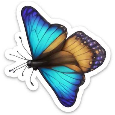 Butterfly  sticker