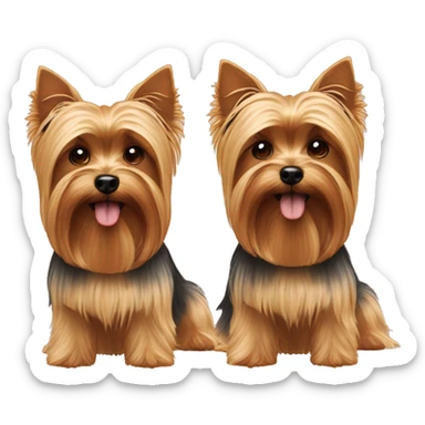 two brothers Yorkshire terriers sticker