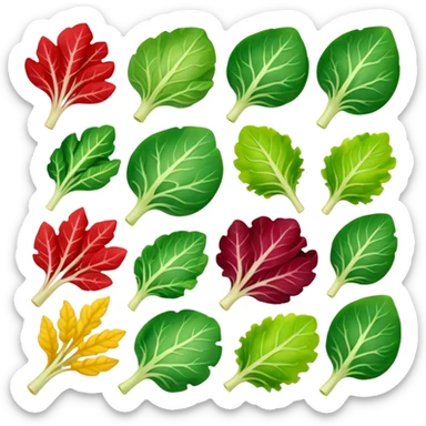 different salad leaves different colors  sticker