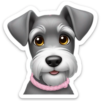 female dog color "pepper and salt" breed medium Schnauzer with hanging ears hanging ears and a pale pink string around its neck sticker