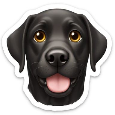 Black labrador retriever with hazel eyes sticker