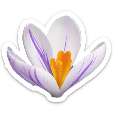 crocus sticker