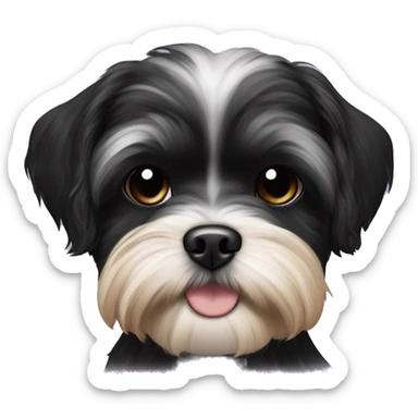 Shih tzu black puppy, yorkie coloring with light eyebrows  sticker
