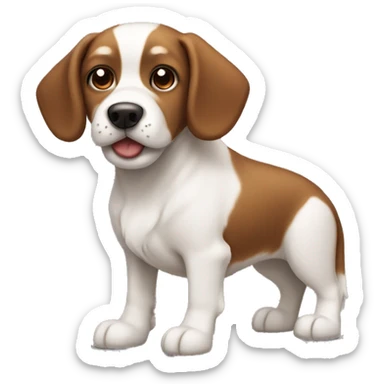 Small brown and white dog with short floppy ears and small nose sticker