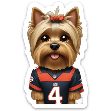 Yorkie wearing a NFL jersey sticker