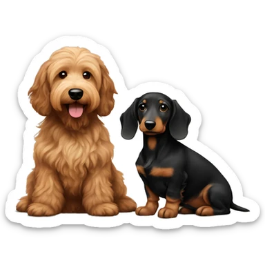 Brown golden doodle and black and tan and cream longhair dachshund sitting together  sticker