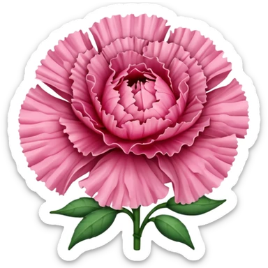 carnation simple sticker