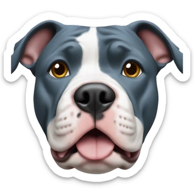 Pitbull blue nose  sticker