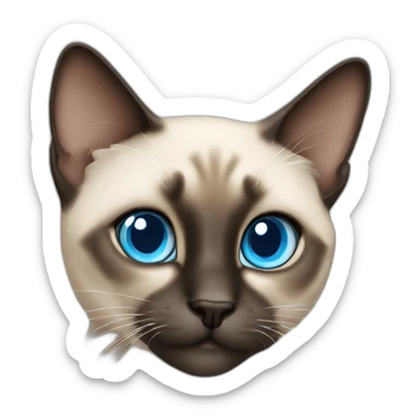Siamese blue eyed cat sticker