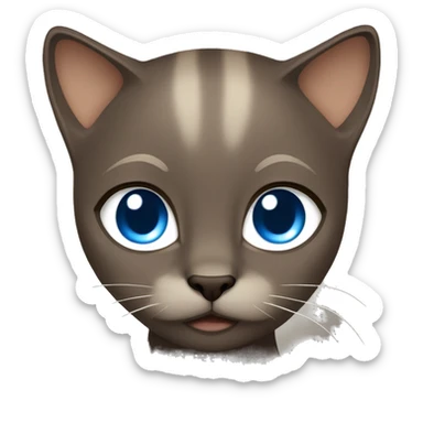 Dark Brown face - beige body and ears female siamise cat with blue eyes  sticker