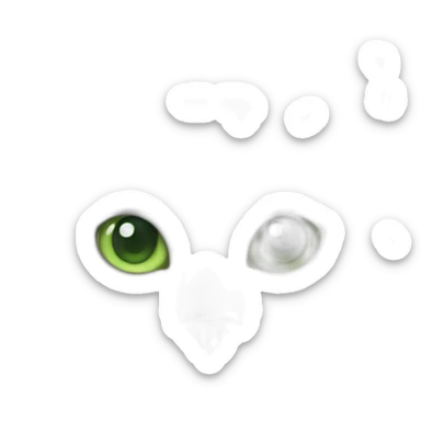 white male cat whith grey hair whith a green eyes sticker