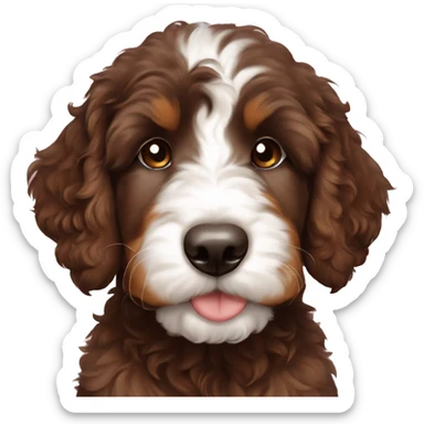 bernedoodle puppy brown nose sticker