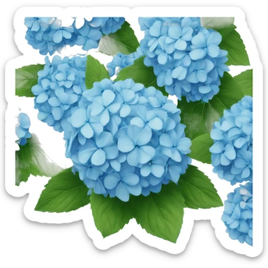 Blue hydrangeas  sticker