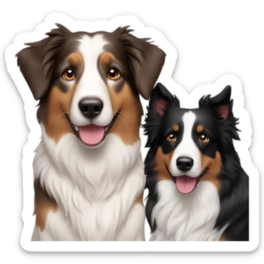 australian Shepard mixed with border collie sticker