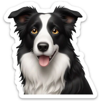 Border collie with black head and white snout sticker