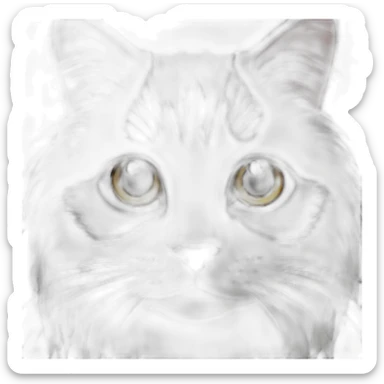 Black and white cat with long hair sticker