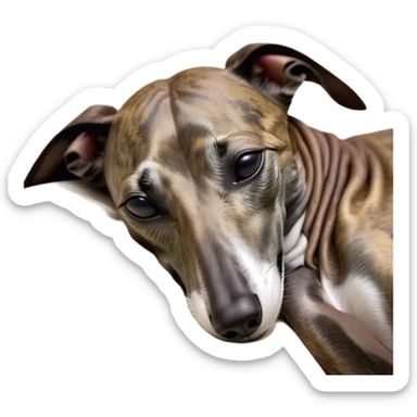 Meme-Worthy Cute Sleeping Brindle Greyhound Portrait Emoji, Head resting peacefully with a contented smile, showcasing a slender build and a luxuriously smooth brindle Fur, eyes shut in a serene nap, Simplified yet hilariously adorable features, highly detailed, glowing with a soft, drowsy light, high shine, relaxed and utterly lovable, stylized with an air of playful laziness, bright and heartwarming, soft glowing outline, capturing the essence of a comically sleepy racer, so meme-worthy it feels like it could instantly become the next viral sensation of adorable slumber! sticker