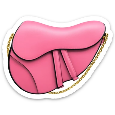 dior pink saddle bag sticker