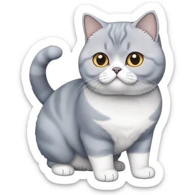Full body photo of a blue and white British shorthair sticker
