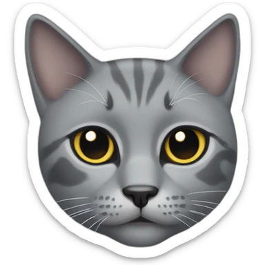 Gray cat with black eyes sticker