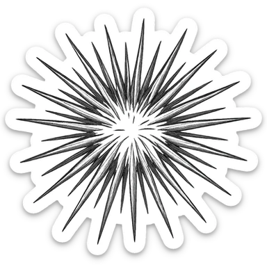 Make the sea urchin shape more realistic, keeping the dangerous spikes, with a transparent background, in a hand drawn icon style with no fill, focusing on detailed and realistic spikes and shape. sticker
