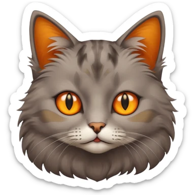 A Cat her race is persante he hair is grew and brown with they eyes orange and Yellow and sticker