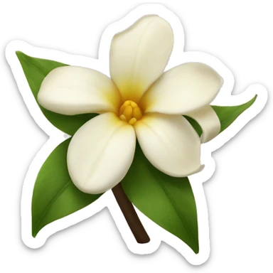 Vanilla flower sticker