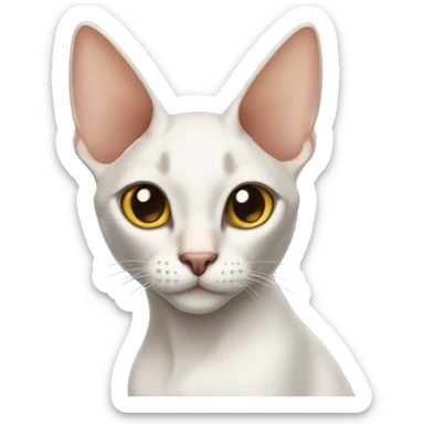 Oriental cat with big ears  sticker