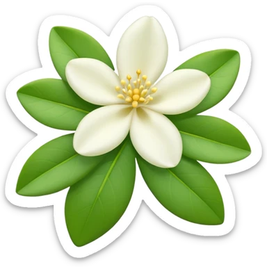 iOS-style 3D emoji: a delicate jasmine flower with five white petals, soft yellow center, and glossy green leaves sticker