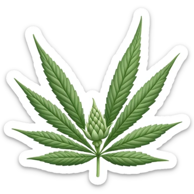 white color marijuana, no color sticker