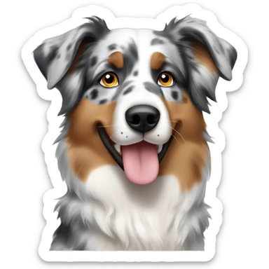 Australian shepherd blue Merle  sticker
