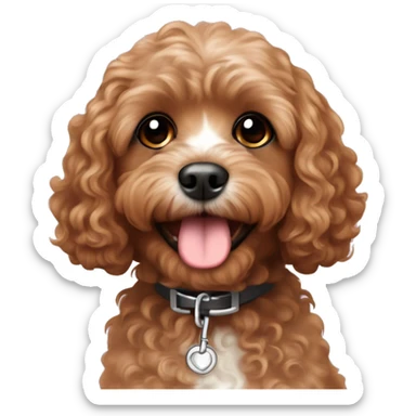Cute cavapoo thats brown with curly hair and a Charlie collar  sticker