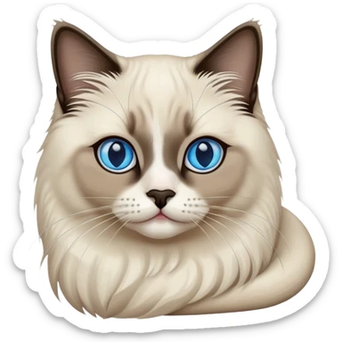 seal point ragdoll cat sticker