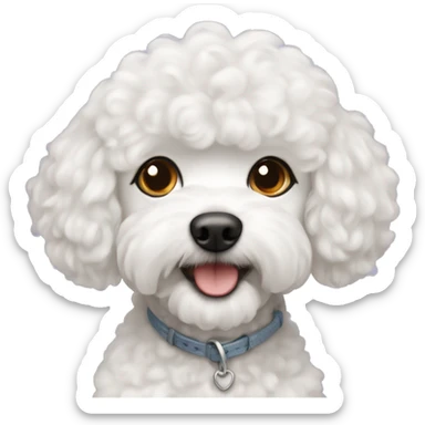 White bichon and poodle mix sticker
