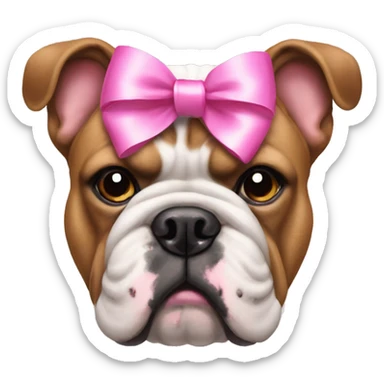 Bulldog with a pink bow on head  sticker