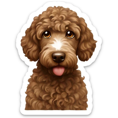 Curly brown sproodle with a white streak of fur on the chest  sticker