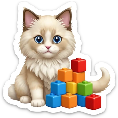 Ragdoll kitten playing with baby building blocks  sticker