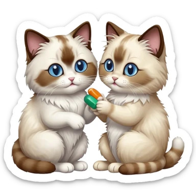 ragdoll cat goving pills to another cat sticker