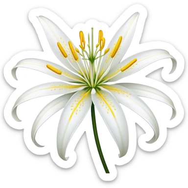 Spider lily flower sticker
