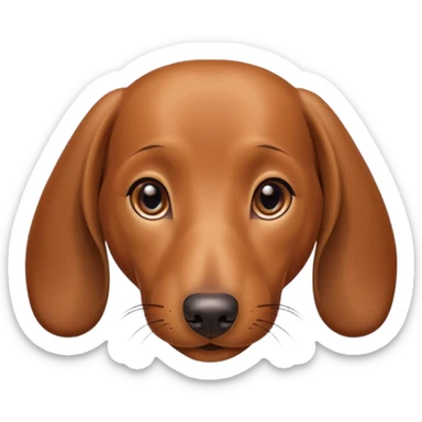 Dachshund's face (thin cheeks, not much hair) sticker