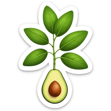young avocado plant with two leaves sticker
