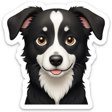 Short haired border collie mix all black with white only on nose sticker