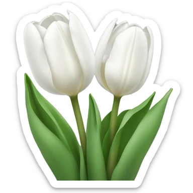 White tulips sticker