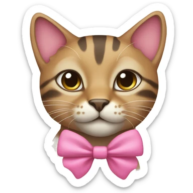 Sokoke cat wearing a pink bow sticker